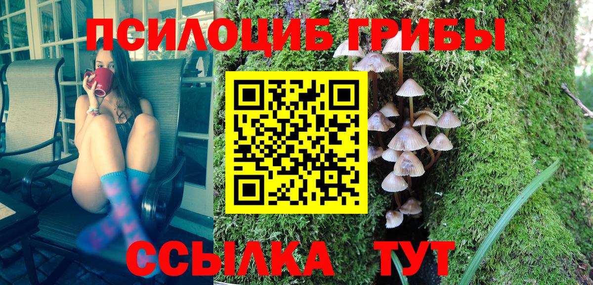 Лесозаводск  Псилоцибиновые грибы мухоморы  Галлюциногенные грибы Psilocybe  Вход с VPN 